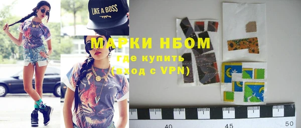 шишки Сатка