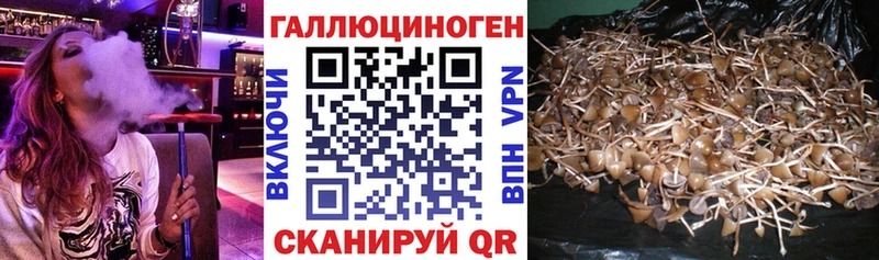 Галлюциногенные грибы ЛСД  Таруса 